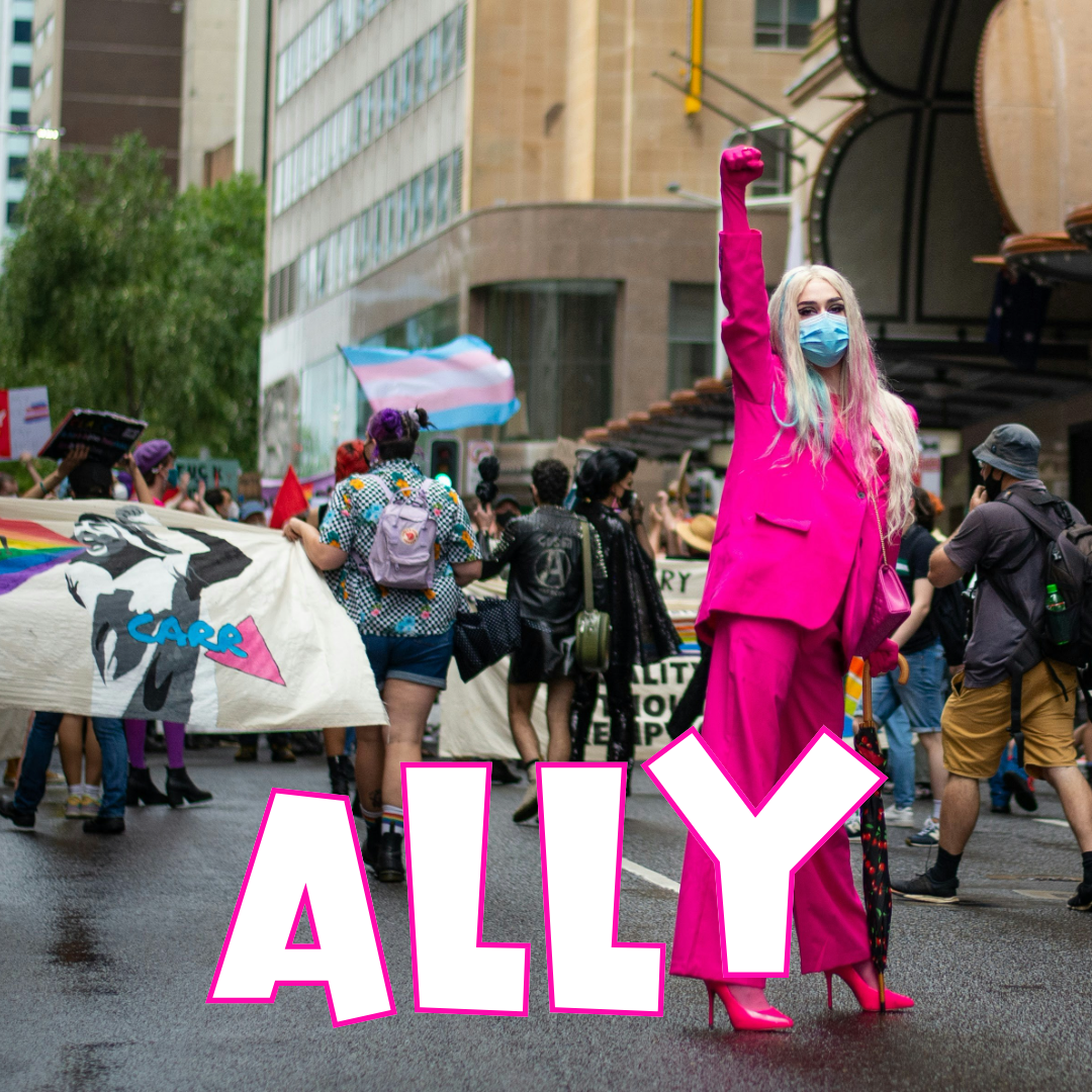 Shop All Ally Designs